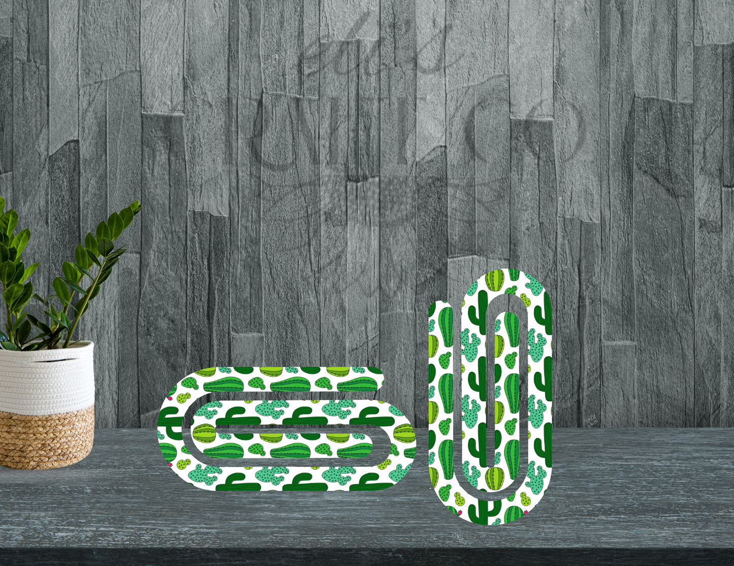 Cacti